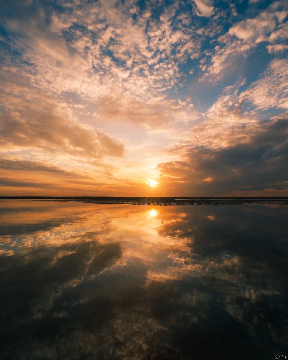 #Bondimanche sur Instagram : instagram.com/le_pasdecalais/💙

📍Berck-Sur-Mer · Shining Light 🔆

👏 Merci et Bravo @damienwiartphotographie pour ce très beau cliché. 

↪️ Envoyez nous vos 📸 avec #lepasdecalais !

#photographie #bercksurmer #plage #pasdecalais