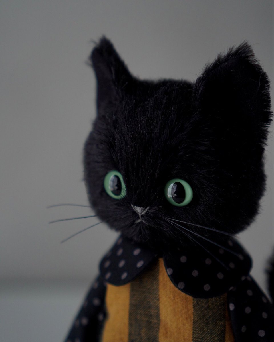 いたずらウサちゃんは
黒猫ちゃんのお気に入り𓂃🖤🎃👻