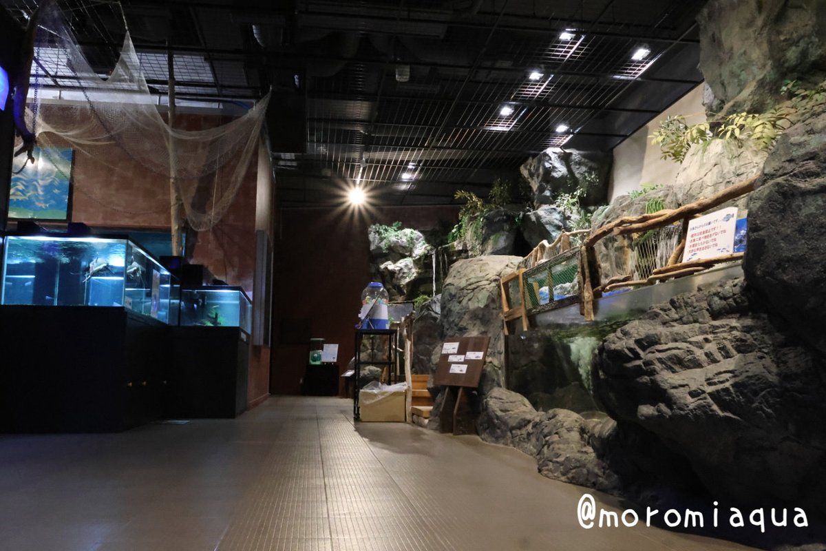 moromiaqua's tweet photo. 今日は群馬県の #みなかみ水紀行館 と、埼玉県の #埼玉県立川の博物館 へ行きました。
みなかみは水族館よりも先の谷川岳へ行く人でバスがすごく混んでて着くまでが大変でした😅でもトンネル水槽もあり結構好き。
川の博物館の水槽展示はほんの少しでしたが、博物館部分と合わせて楽しめました。 https://t.co/CG4SbYlXhK