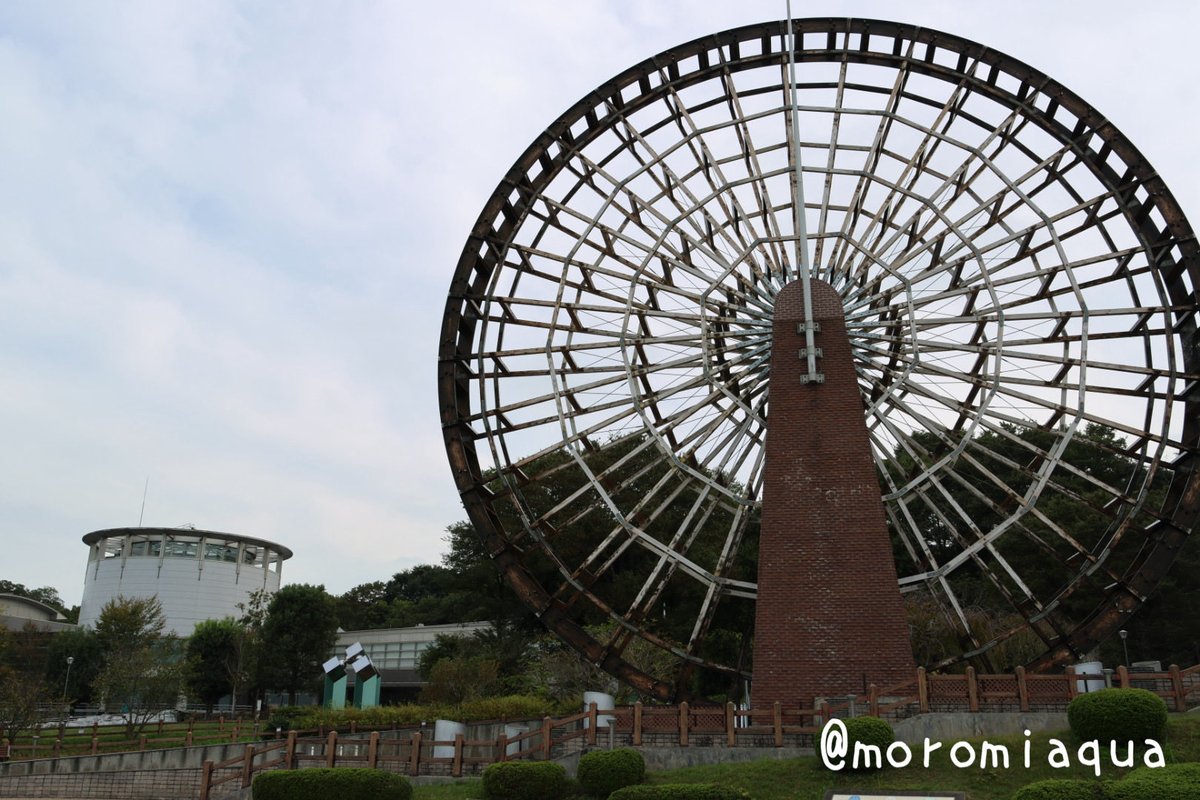 moromiaqua's tweet photo. 今日は群馬県の #みなかみ水紀行館 と、埼玉県の #埼玉県立川の博物館 へ行きました。
みなかみは水族館よりも先の谷川岳へ行く人でバスがすごく混んでて着くまでが大変でした😅でもトンネル水槽もあり結構好き。
川の博物館の水槽展示はほんの少しでしたが、博物館部分と合わせて楽しめました。 https://t.co/CG4SbYlXhK