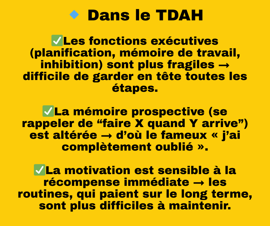 ChristelDemey's tweet photo. Les routines dans le TDAH/TSA, pourquoi est-ce si difficile à les mettre en oeuvre?
#tdah
#tsa https://t.co/hSzfbANXO3