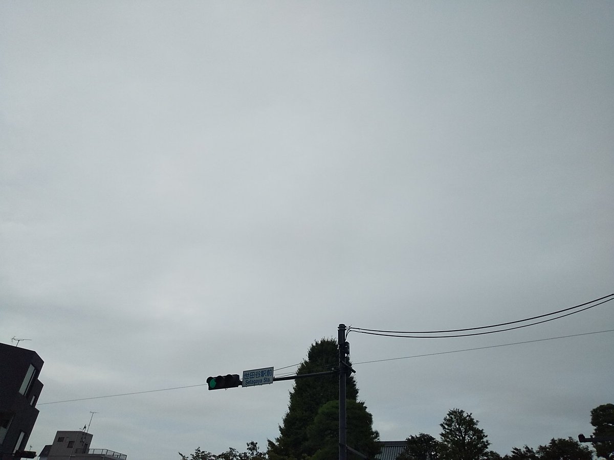 ysb_'s tweet image. 日曜日～

曇り空～

ちょい蒸し～

本日も楽しくなりそうれす～

20251012～

 #世田谷 #世田谷区 #setagaya
