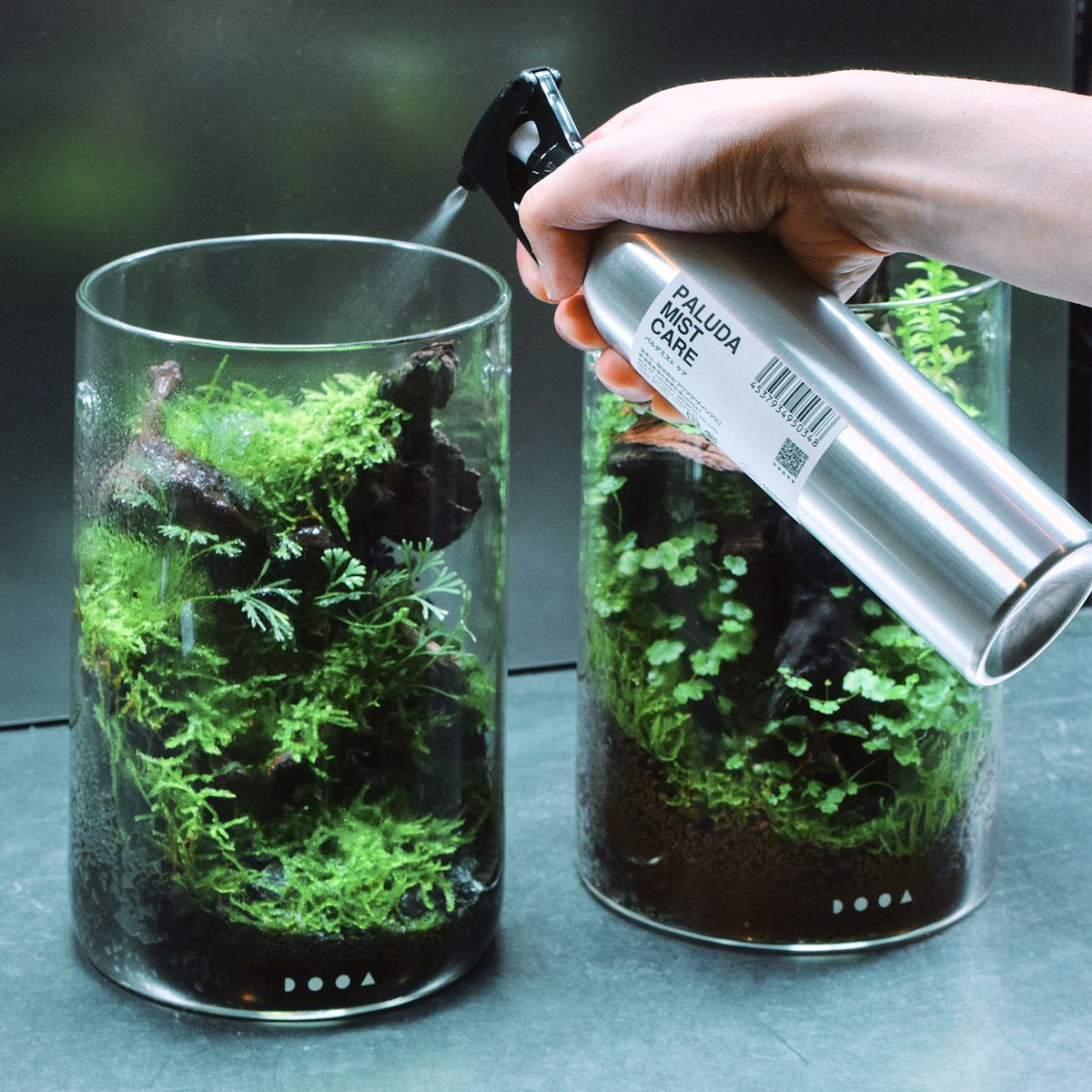 ada_lab_umeda's tweet image. ADA LAB PRODUCTS
: PALUDA MIST CARE

カビや菌類の抑制に有効な微酸性次亜塩素酸水です。純水製でガラス面を汚すことなく、日々の散水に使用していただけます。

#adalab #adalabumeda #ada