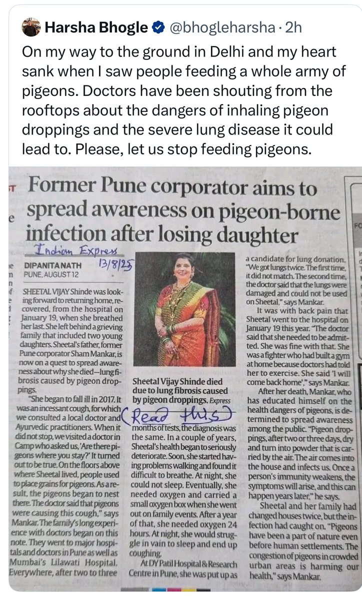 aloktveet's tweet image. नोएडा-ग्रेटर नोएडा में जगह जगह कबूतरों को दाना डालने का स्थान बना दिया गया है। १-२ जगह पर तो हज़ारों की संख्या में कबूतर देखे जा सकते है। कृपया इससे फैलने वाले जानलेवा रोग को देखते हुए इस पर रोक लगाया जाय। 

@CeoNoida @OfficialGNIDA @dmgbnagar @cmogbnr @DhaorAshni @vinodrajputs…
