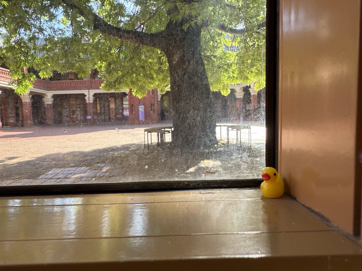 So I was sitting in an online Zoom group as part of yesterday’s Omega conference, looking out the window at this beautiful tree, when I suddenly realised a little face was looking back at me. Drop me a reply when you see it!