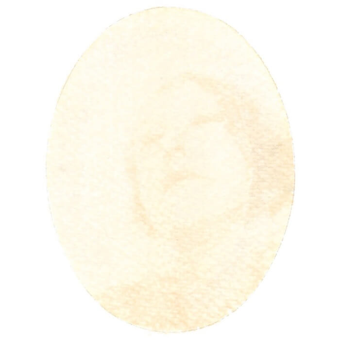 alternativephot's tweet image. 🌿 After blue cyanotypes, we are back on World Anthotype Day, open until 25th Oct!

➥Sea buckthorn by Oksana Shatalova and Andrey Shatalov
➥Adam's Needle by David Whitehead
➥Herb-paris by Panu Pahkamaa
➥Zinnia by Amber J. Anderson

👉 alternativephotography.com/world-anthotyp…

#anthotype