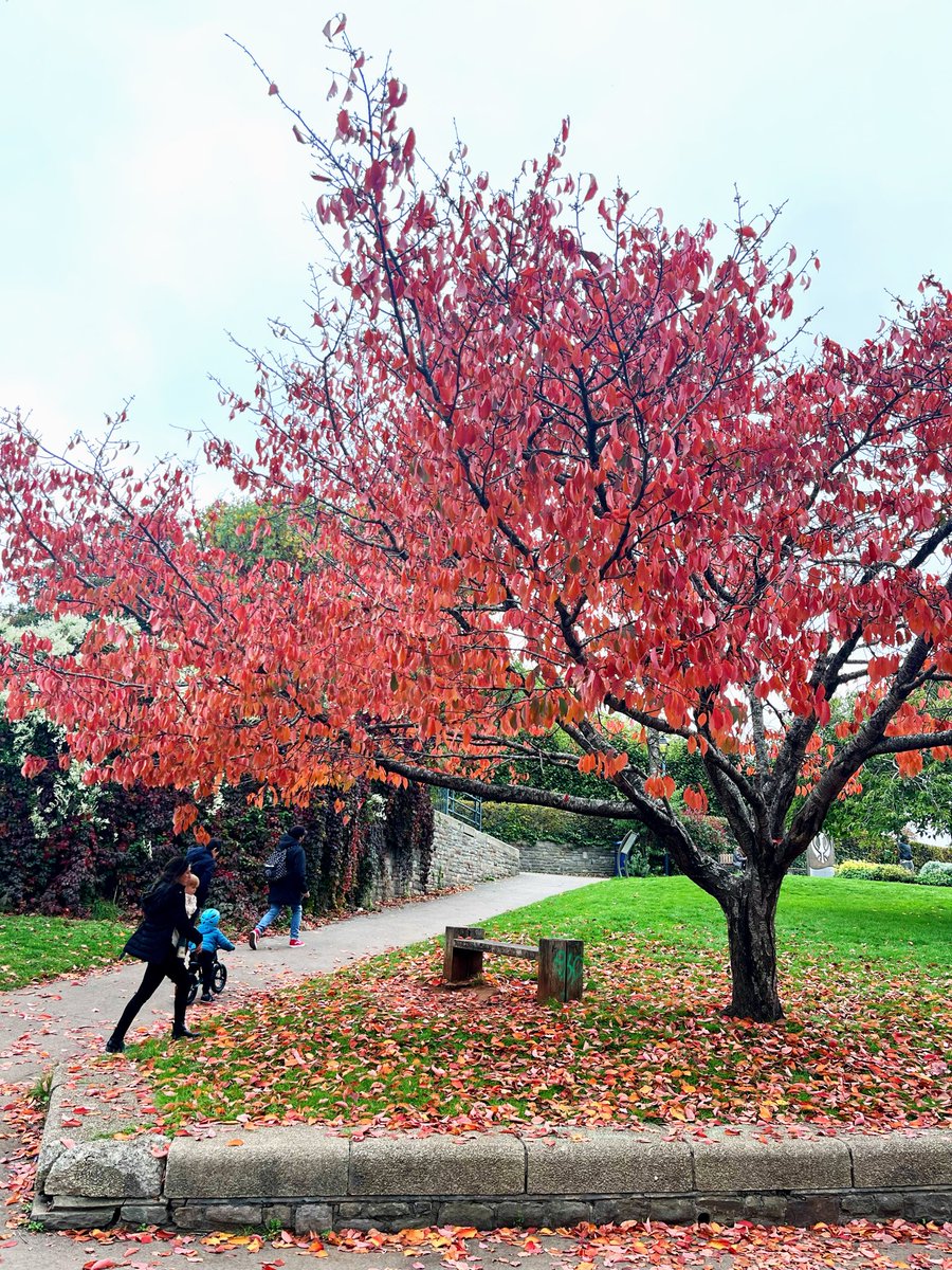 axeleric's tweet image. I wish you were here