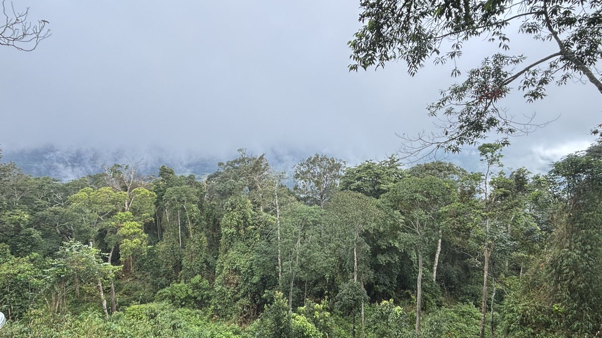 AYcouple135773's tweet image. เขาใหญ่ชุ่มช่ำ
คู่ไหนมาบ้าง😬