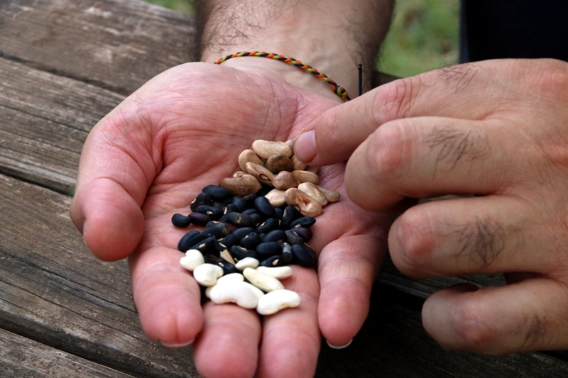 Revista Baix Empordà tweet media