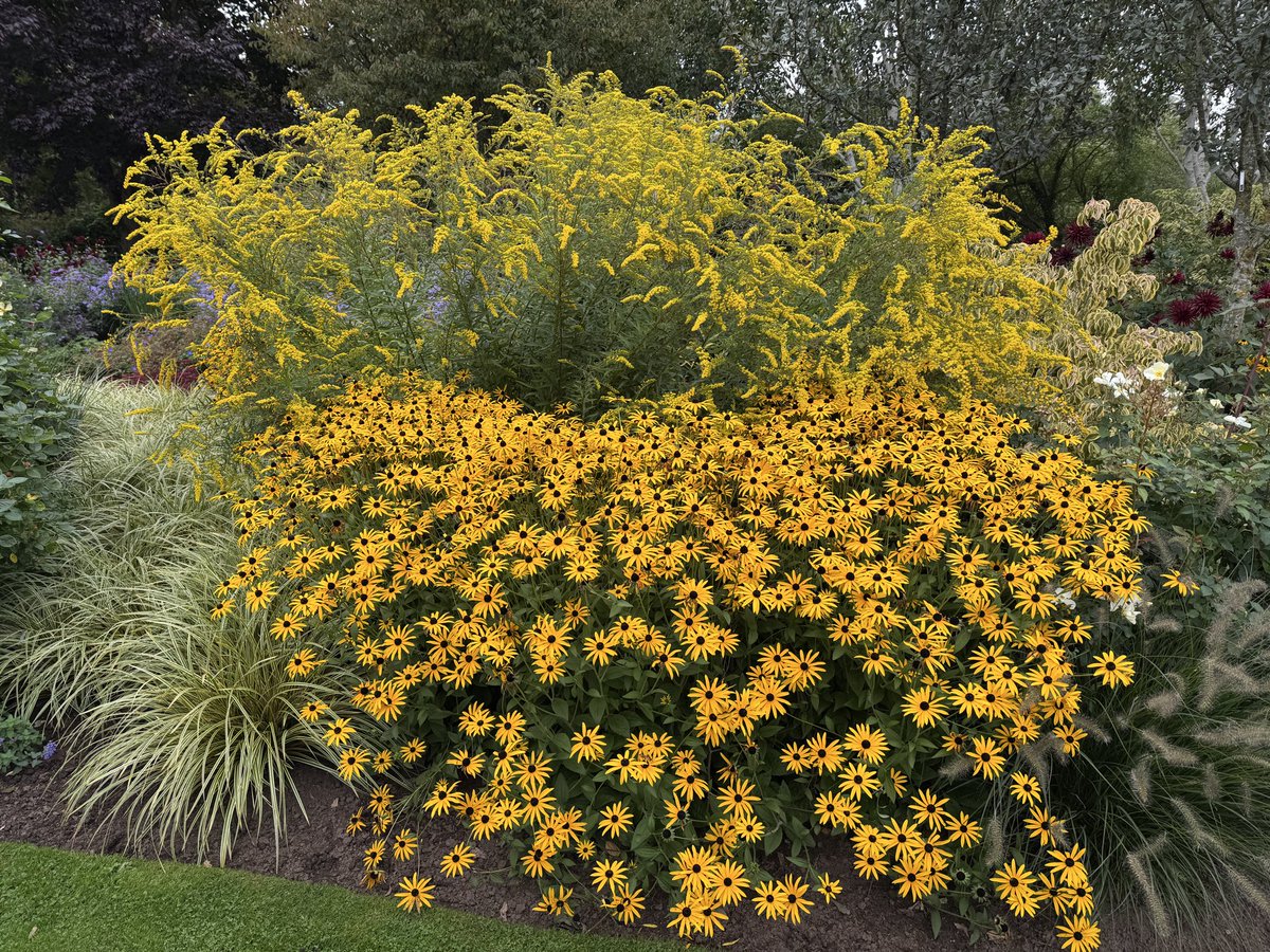thomasjameswynn's tweet image. John’s garden at Ashwood nurseries.