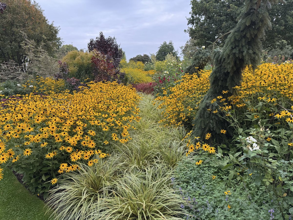 thomasjameswynn's tweet image. John’s garden at Ashwood nurseries.