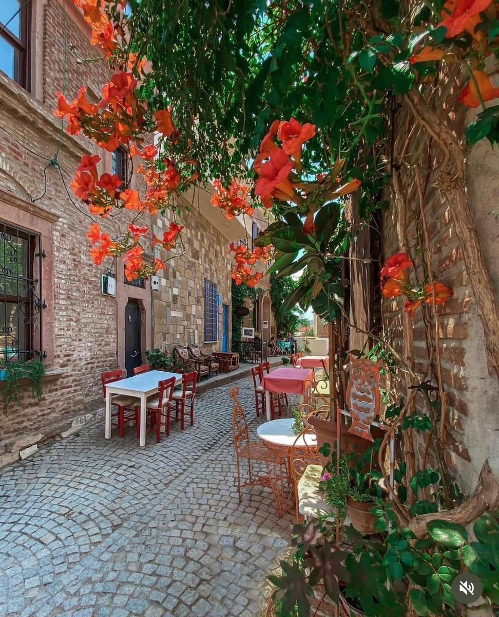 “Ekim de, bitti gidiyor işte…
Ömür, hızla akıp geçiyor.
Yarın, göz açıp kapayıncaya kadar,
Dün oluyor.
Bugünün kıymetini bilmek lazım.
Doya doya yaşamak lazım.
Bak yağmurlar yağıyor,
Varsın deli desinler,
Vakit varken, ıslanmak lazım…”🌱

✏️T.Tuğba Baş