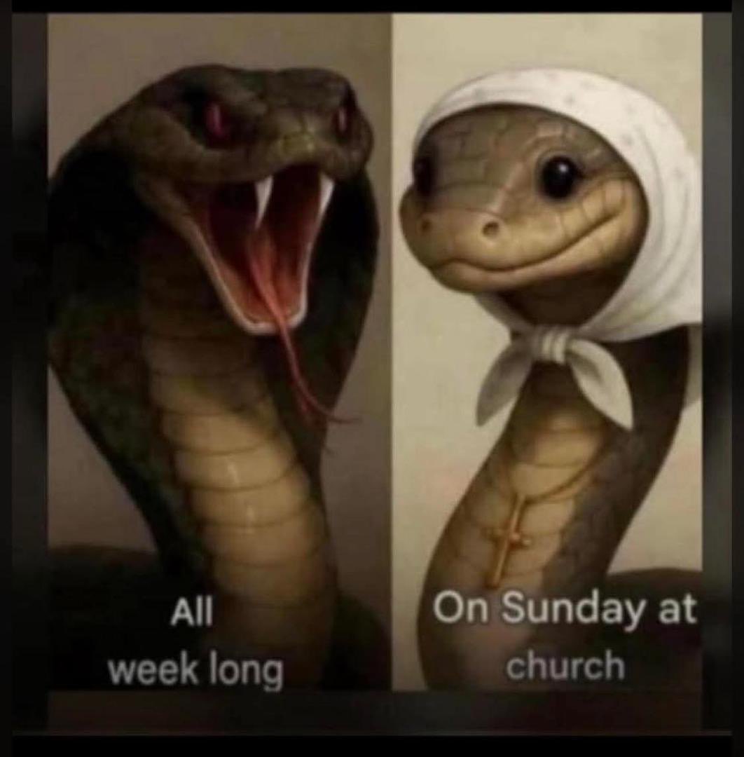ogbongidi_7's tweet image. Happy Sunday.