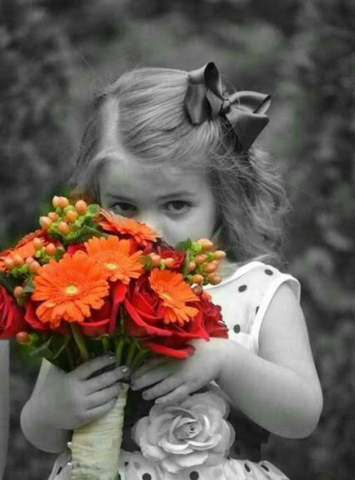 silence ❤️🌹 tweet media