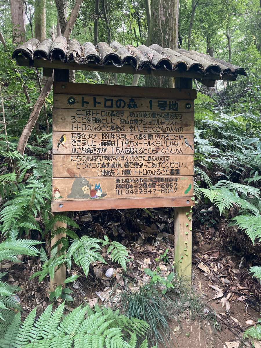 司/19G(いくじー) (@tukasa_19g) / Posts / X