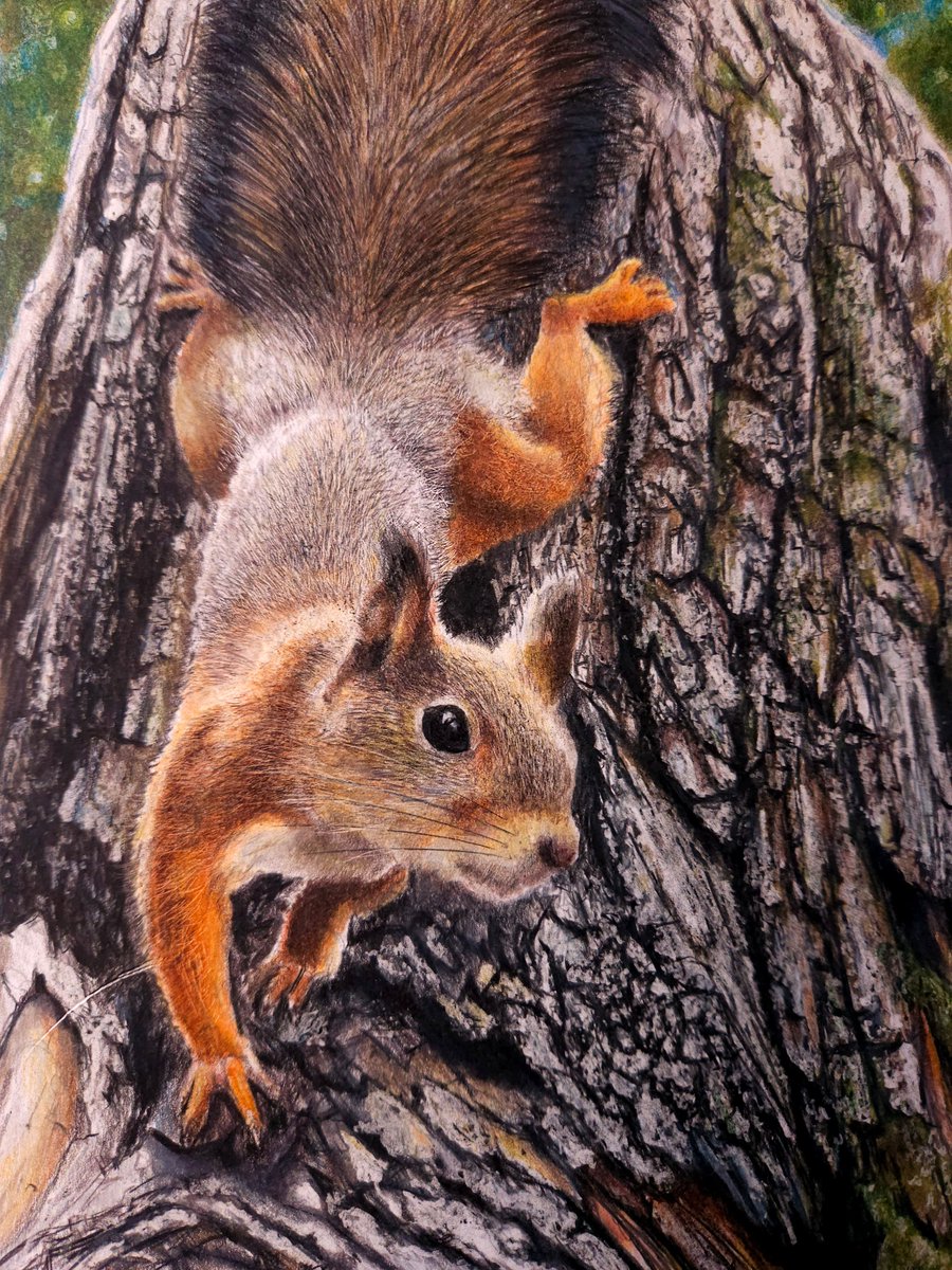 そんな感じの色鉛筆画 (@sonnakanjidesu) / Posts / X