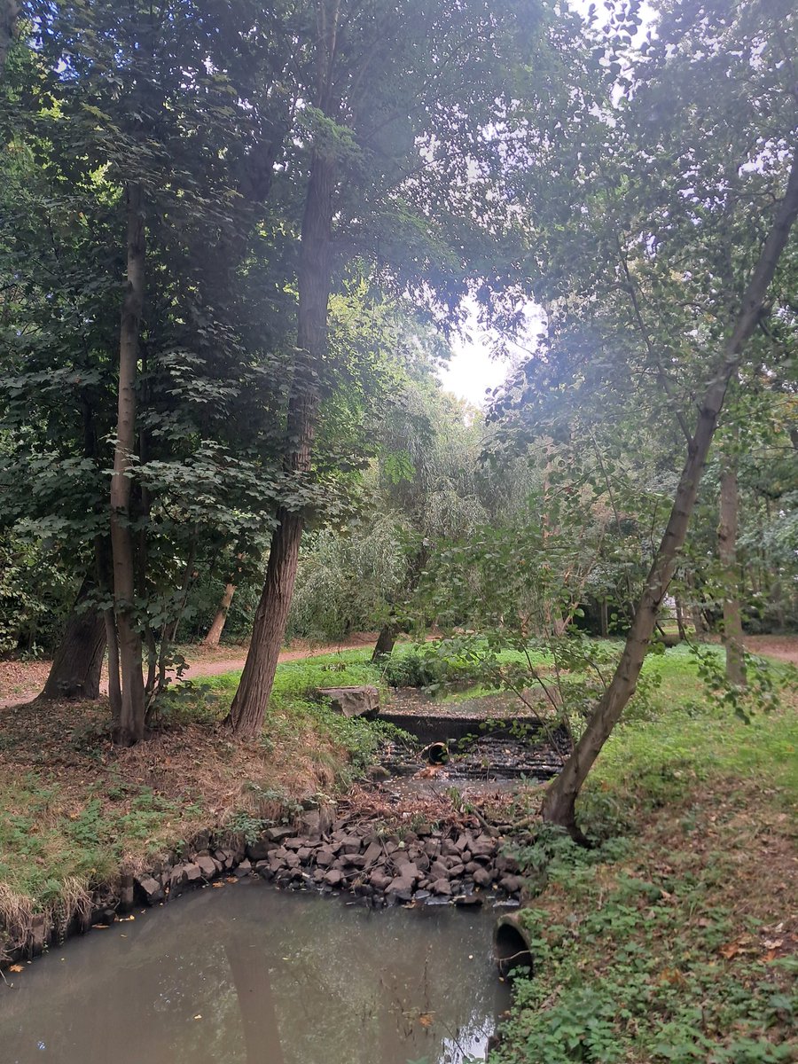 Belgonerd1's tweet image. #landscape #naturebeauty