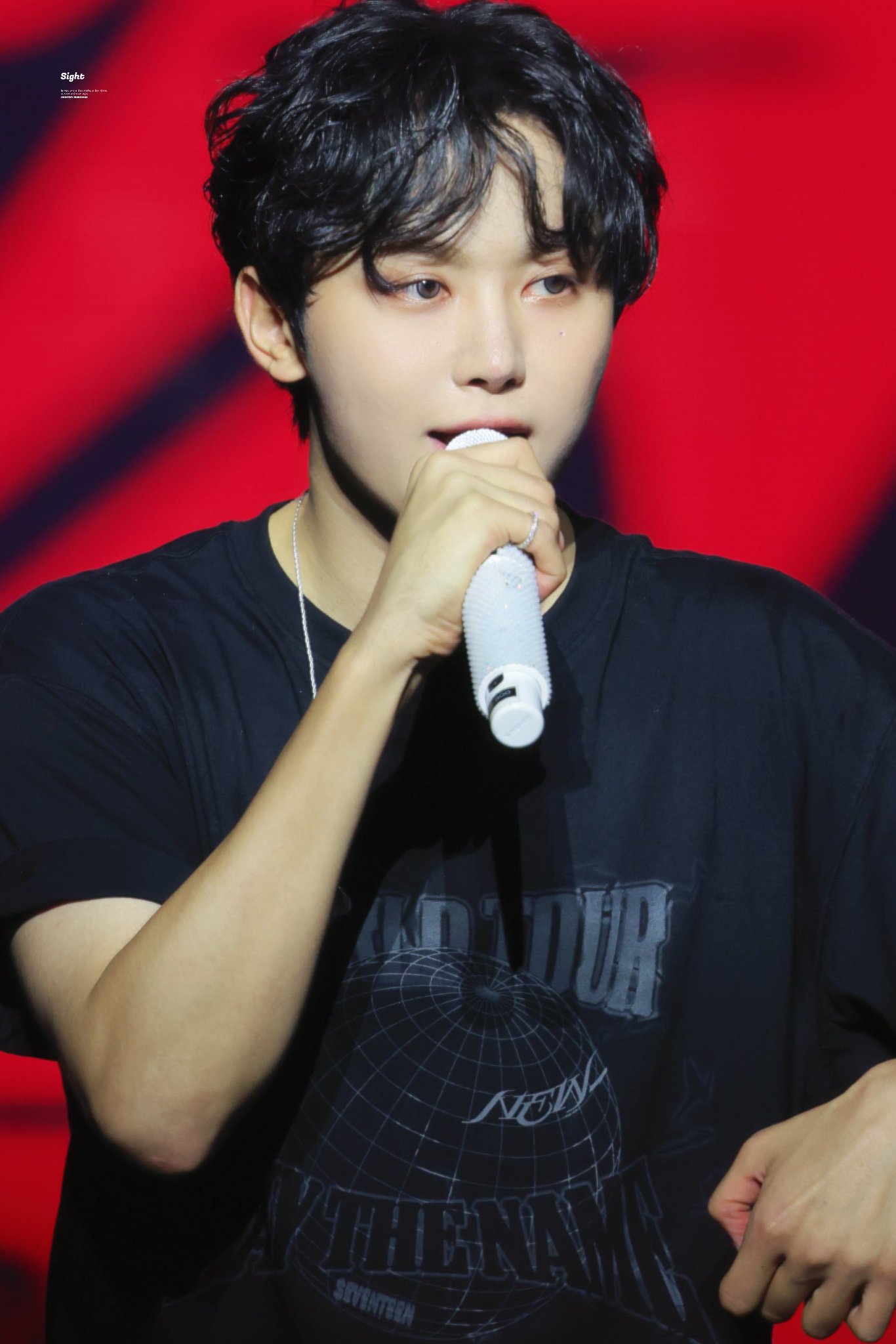 SEVENTEEN スングァン Qoo10] SEVENTEEN スングァン マスター