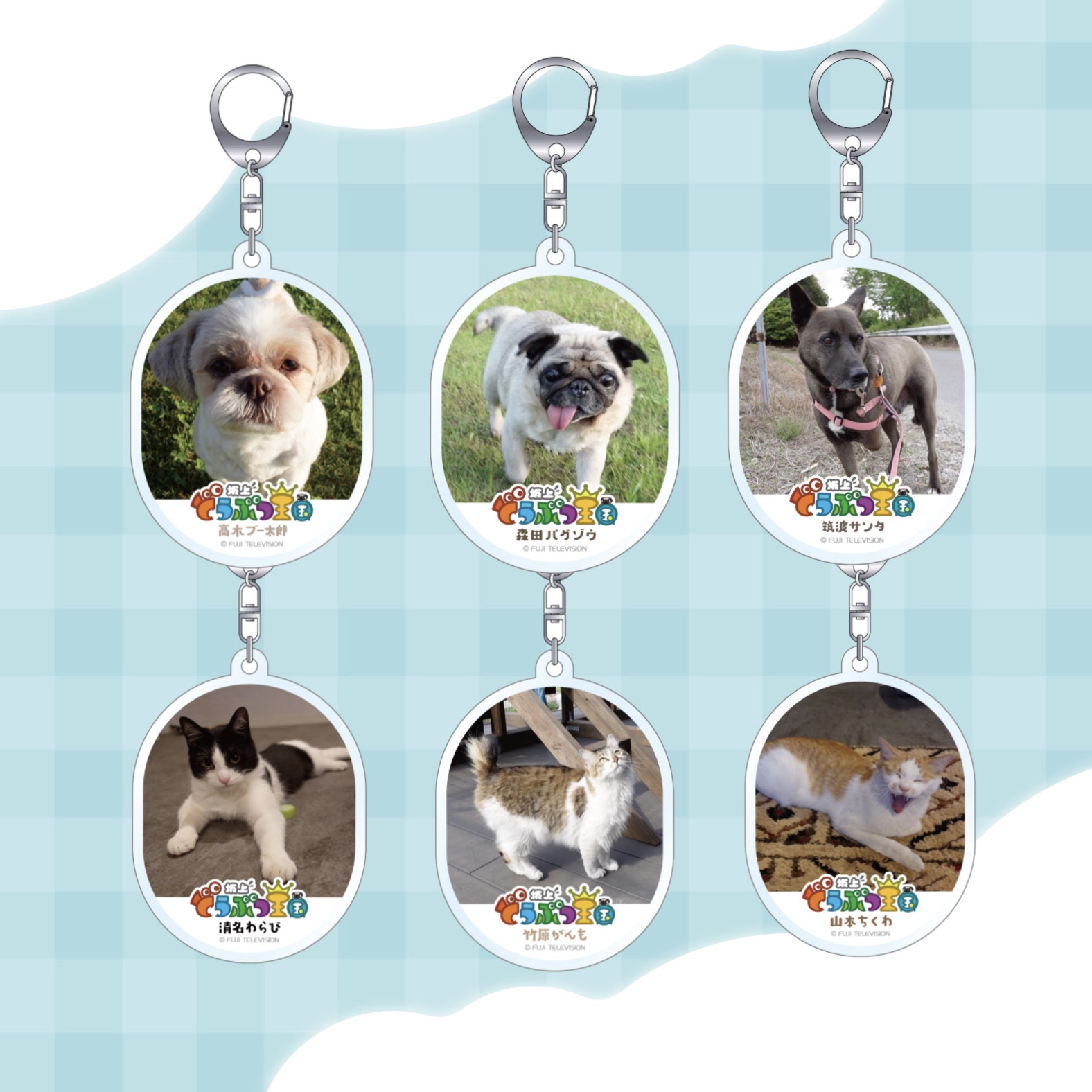 フジテレビ グッズ info (@FUJITV_MDinfo) / X