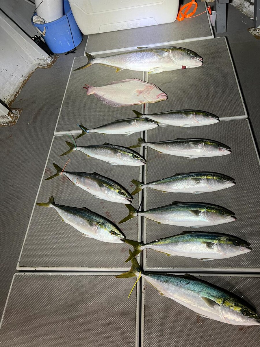 青く広がる海の上で、波に揺られながら待つ時間…✨

手ごたえを感じた瞬間の胸の高鳴りは最高でした😍

自然と向き合う釣りは、心をリセットしてくれる大切な時間です☺️

#海釣り #ジギング #フィッシング #釣り好きと繋がりたい #海の恵み #アウトドア #休日の過ごし方 #青い海 #釣り記録 #釣り