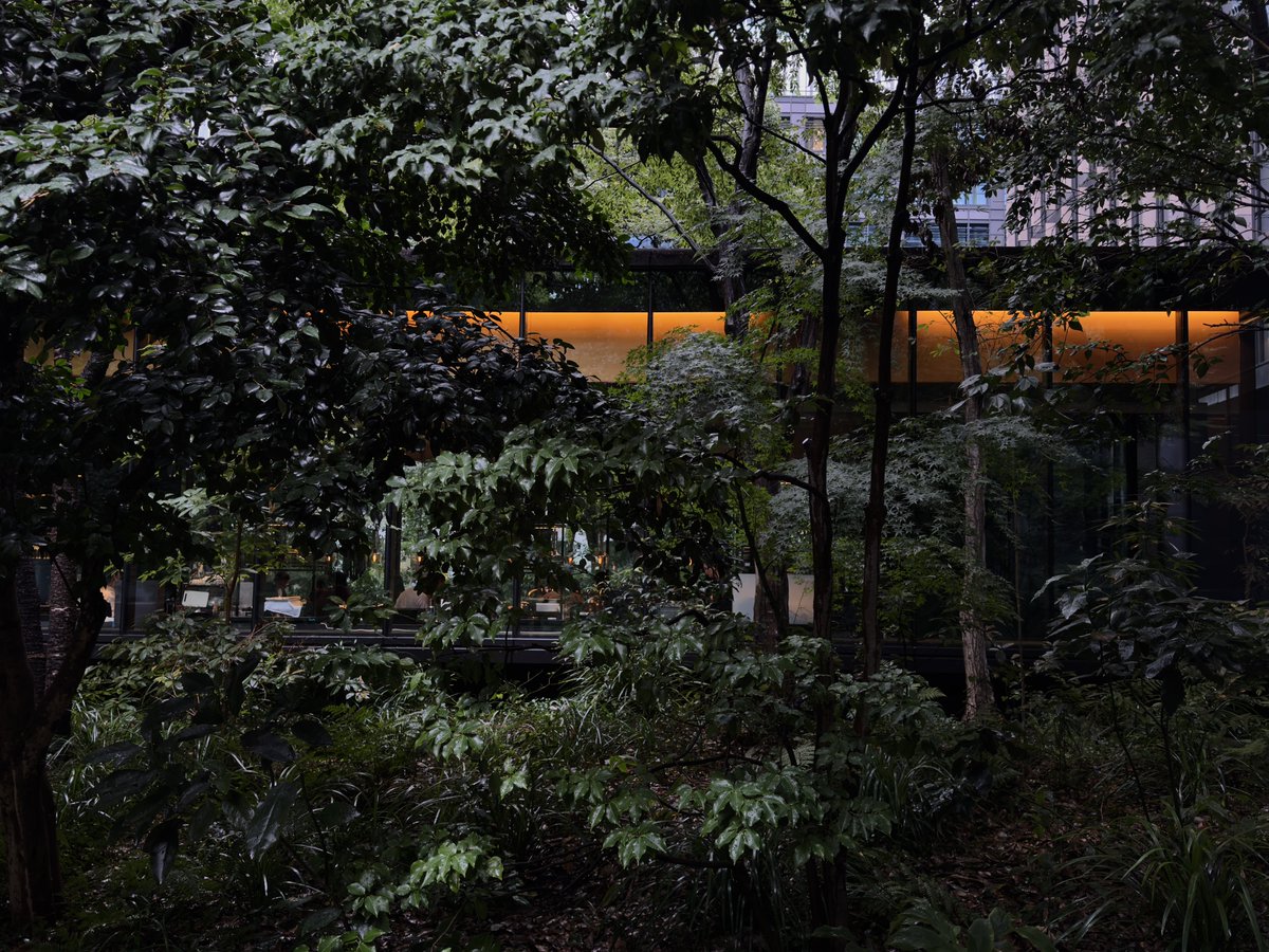 AMANのカフェを外から撮ろうにもただの雑木林が撮れるだけ。
iPhone16proのカメラ設定をROWに切り替えてみたら画質良く撮れた気がする。