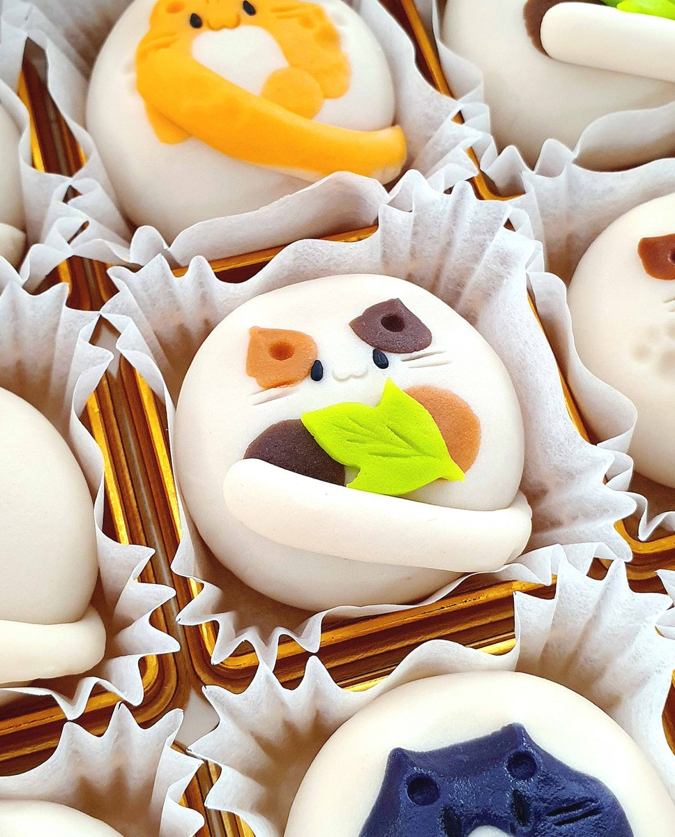 🎁 RT + 팔로우 → 1분께 화과자 세트 증정!

안녕하세요, 다다당입니다. 추석 연휴 잘 쉬셨나요?
오랜만에 10월 예약 공지 들고왔어요. 😊

📦 예약 오픈: 오늘(일) 오후 8시부터
- 추석 디자인
- 고양이 가족 디자인
mkt.shopping.naver.com/link/6863cb0e8…

이번 달은 다소 쉬어가는 느낌으로 진행하지만,
새로운