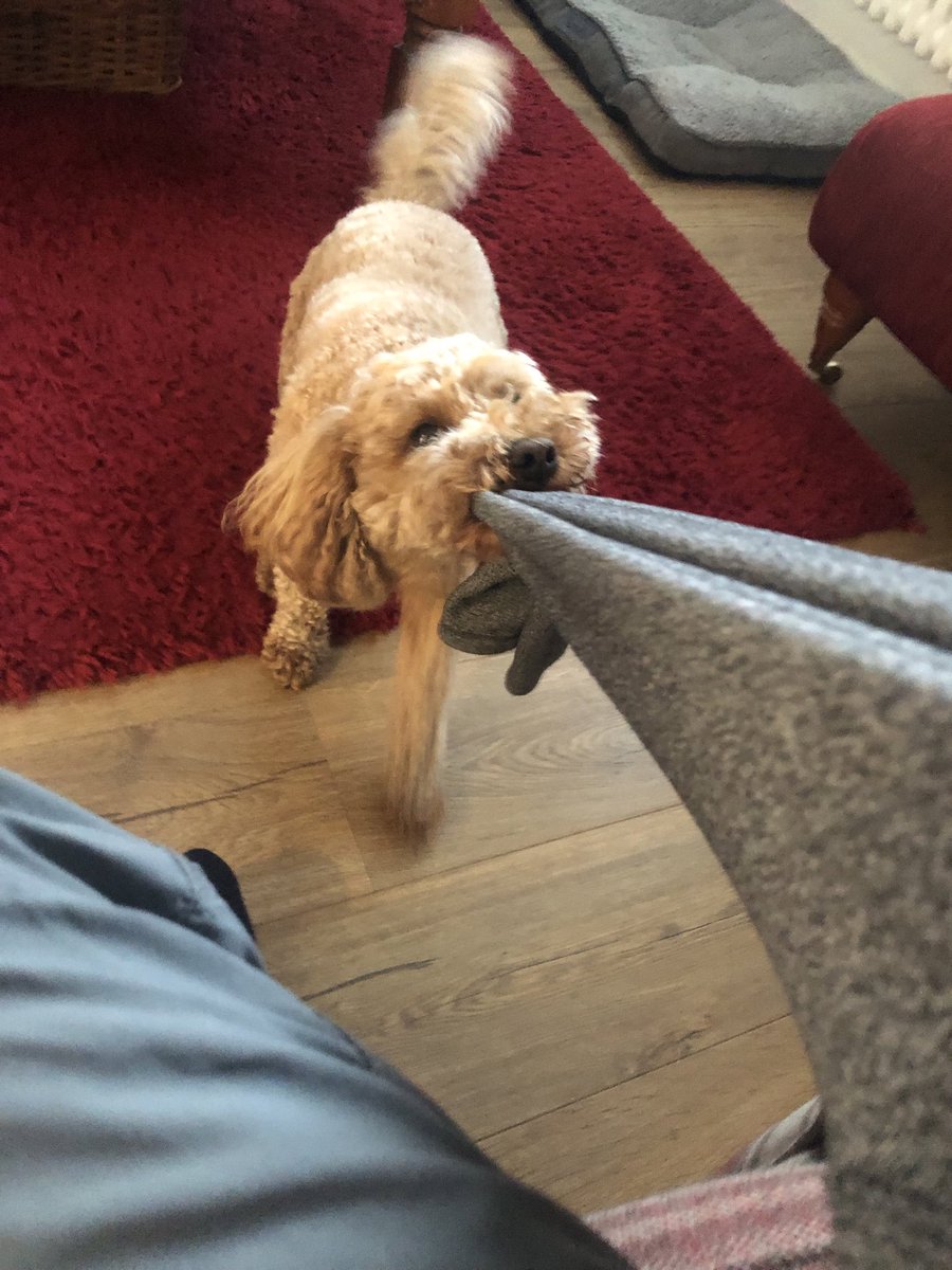 Sleeeeve me alone you blood thirsty hound!!!