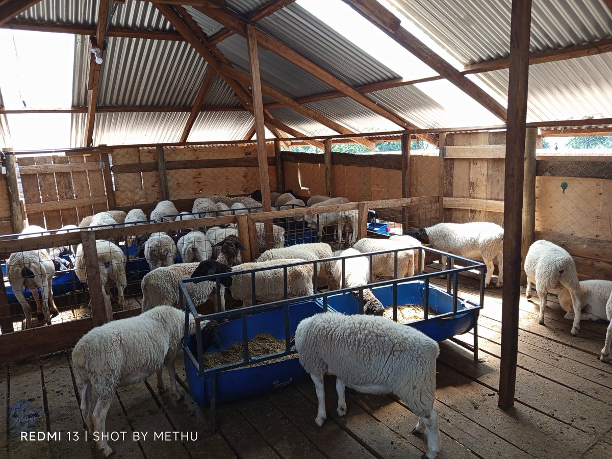 This is Africa and Africa is our business!