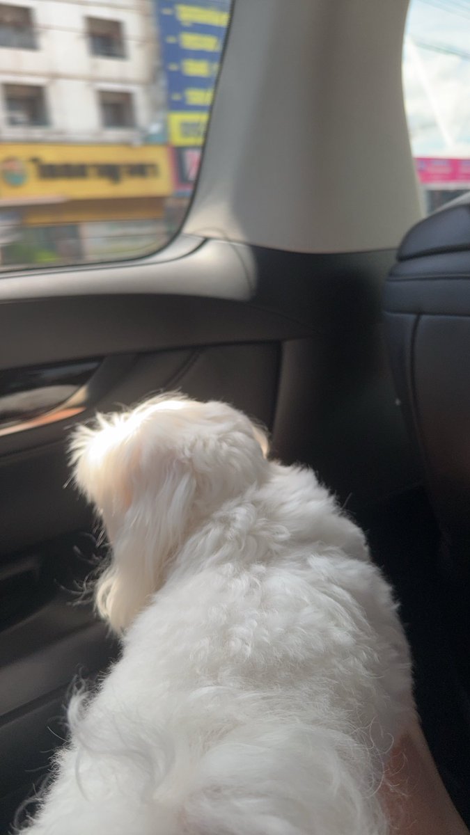 BamSaralee's tweet image. Bello Sunday ⛅️