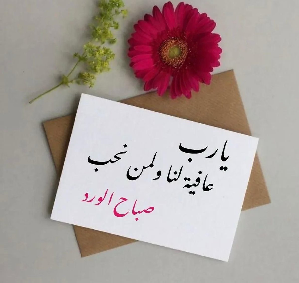 hanangedan's tweet photo. https://t.co/FCxwHsKWzM