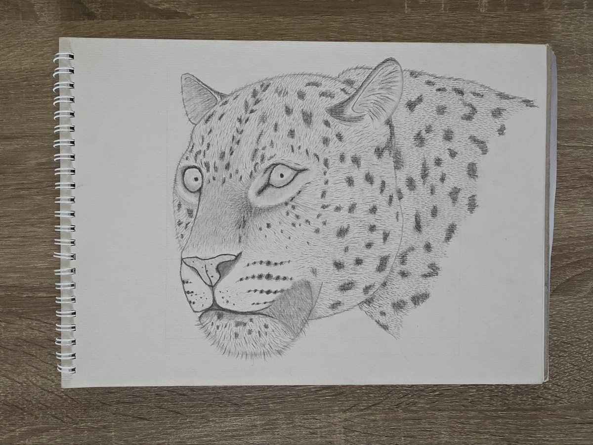 bubzspyk's tweet photo. Countless hours, countless pencil strokes — but seeing this leopard come to life made every second worth it 🐆✏️🧡

#art #artistsoninstagram #drawing #sketchbook #pencildrawing #realisticart #artwork #artstudy #artoftheday #sketch #artistlife #creativeprocess #drawdaily #artgram https://t.co/8g9GdGQt0Y