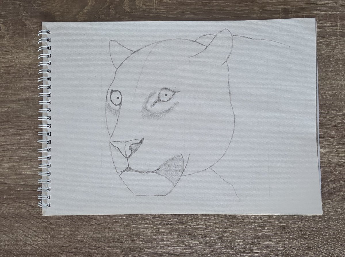 bubzspyk's tweet photo. Countless hours, countless pencil strokes — but seeing this leopard come to life made every second worth it 🐆✏️🧡

#art #artistsoninstagram #drawing #sketchbook #pencildrawing #realisticart #artwork #artstudy #artoftheday #sketch #artistlife #creativeprocess #drawdaily #artgram https://t.co/8g9GdGQt0Y