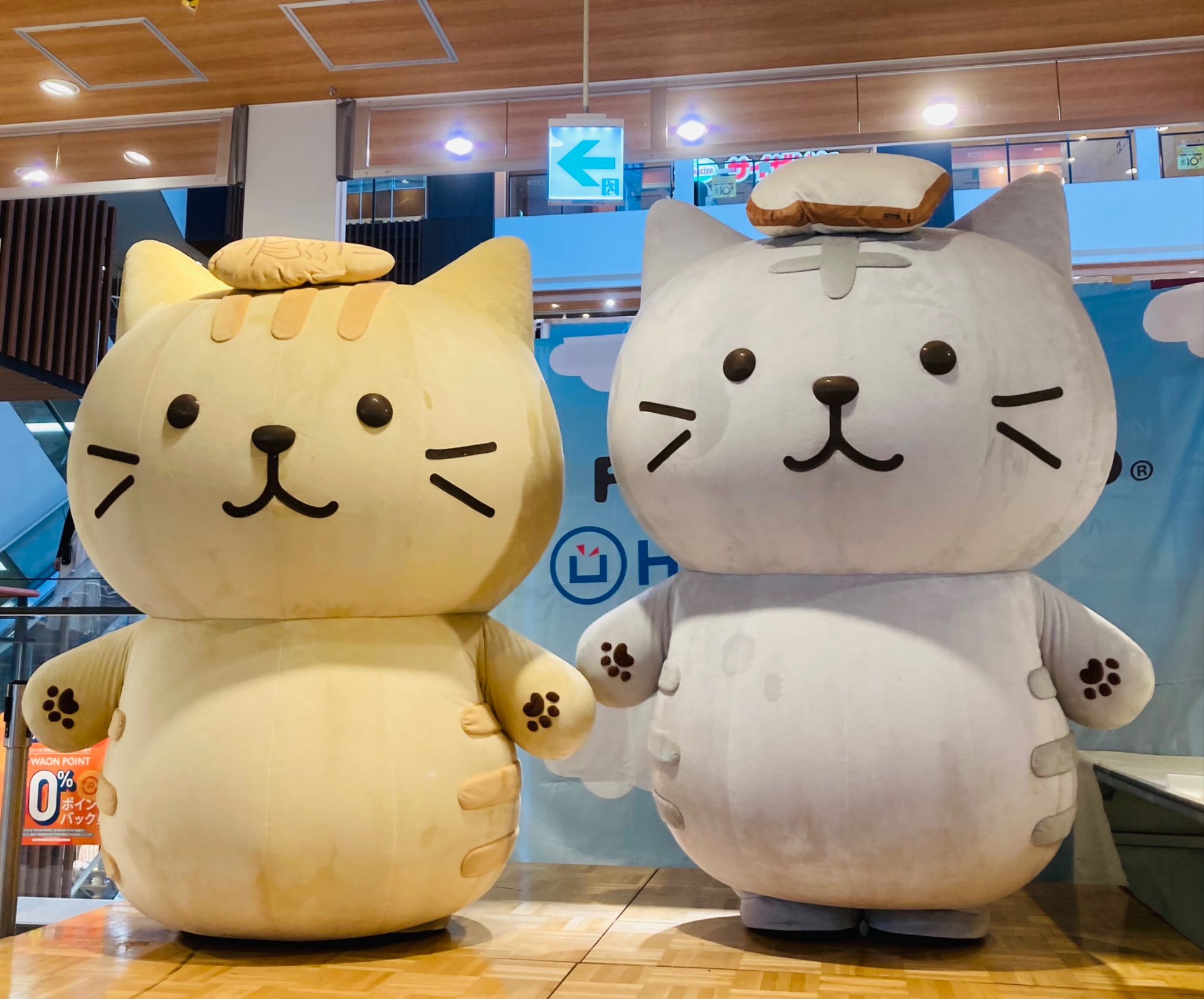 我が家のにゃんこ(*^^*) Amazon.co.jp: にゃんこ大戦争 GBぬいぐるみ5 H23cm (ネコ