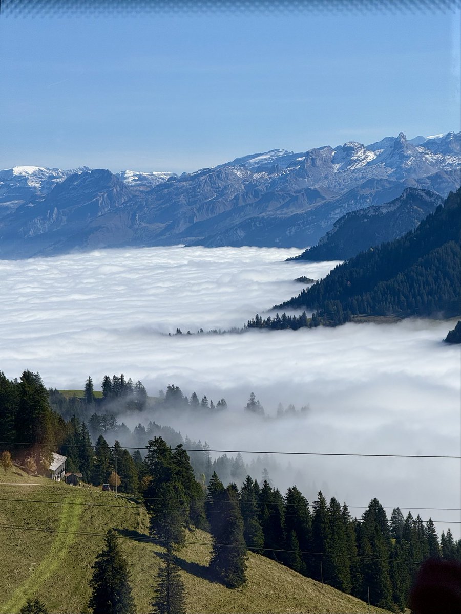 TheSwissPath.com tweet media