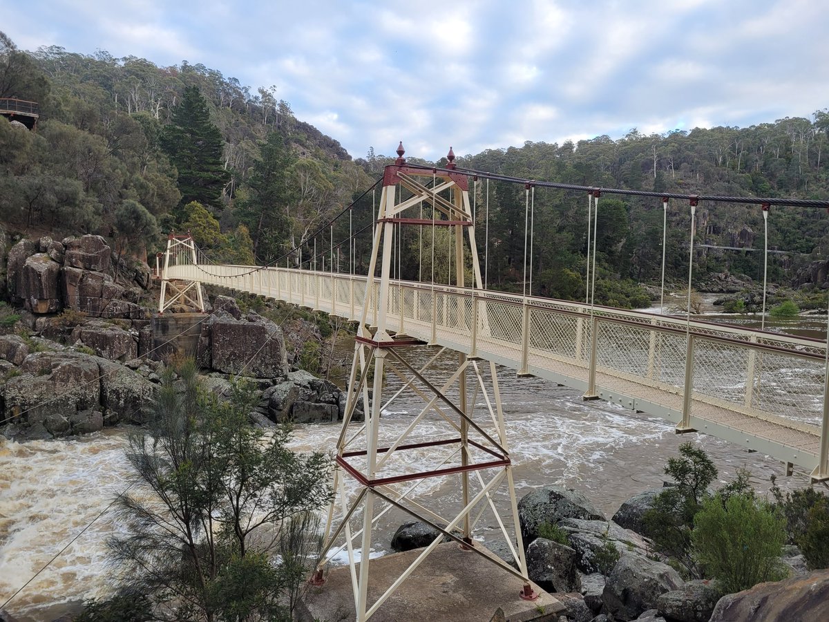 Tesha 🇳🇿 tweet media