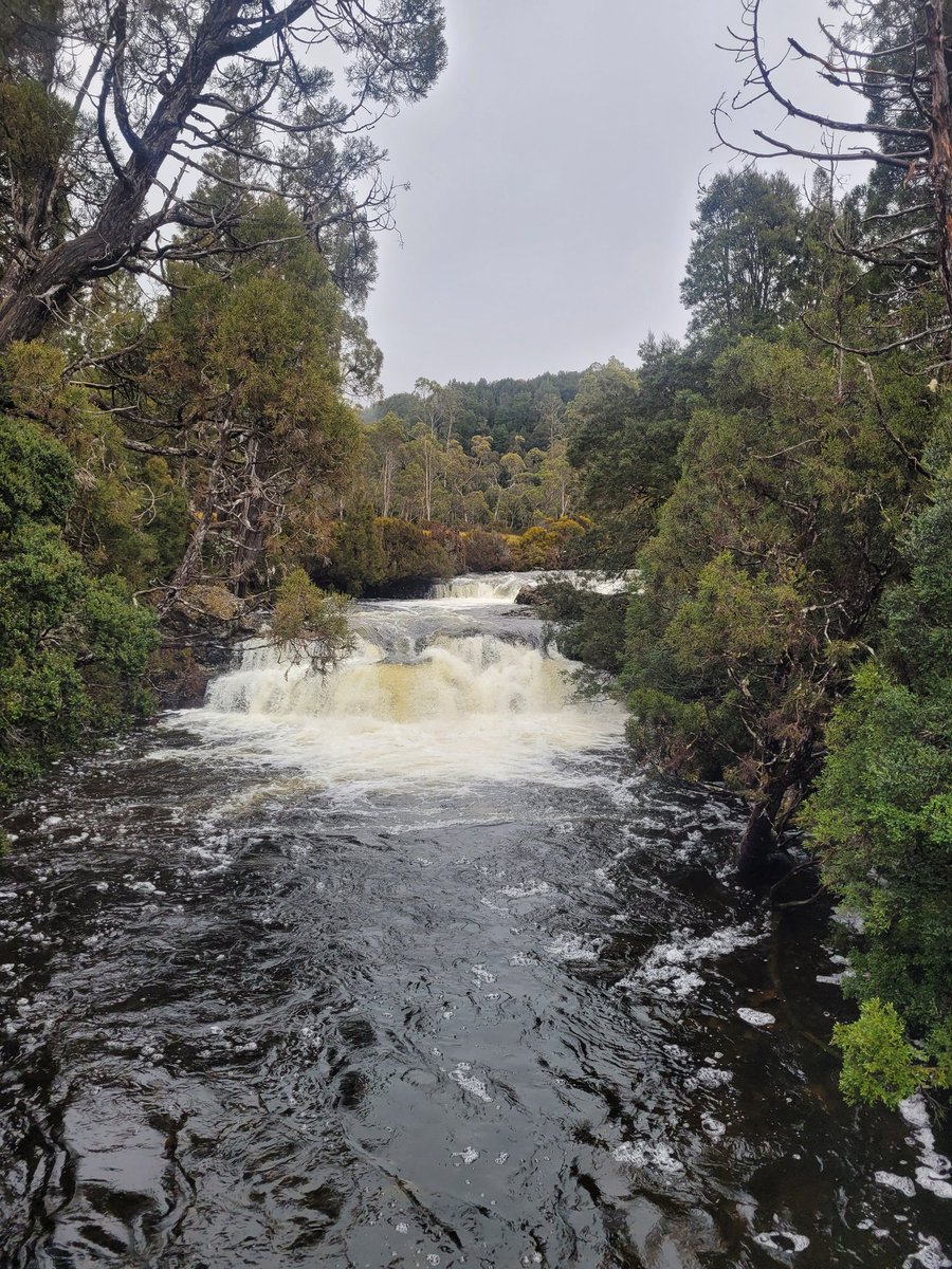 Tesha 🇳🇿 tweet media