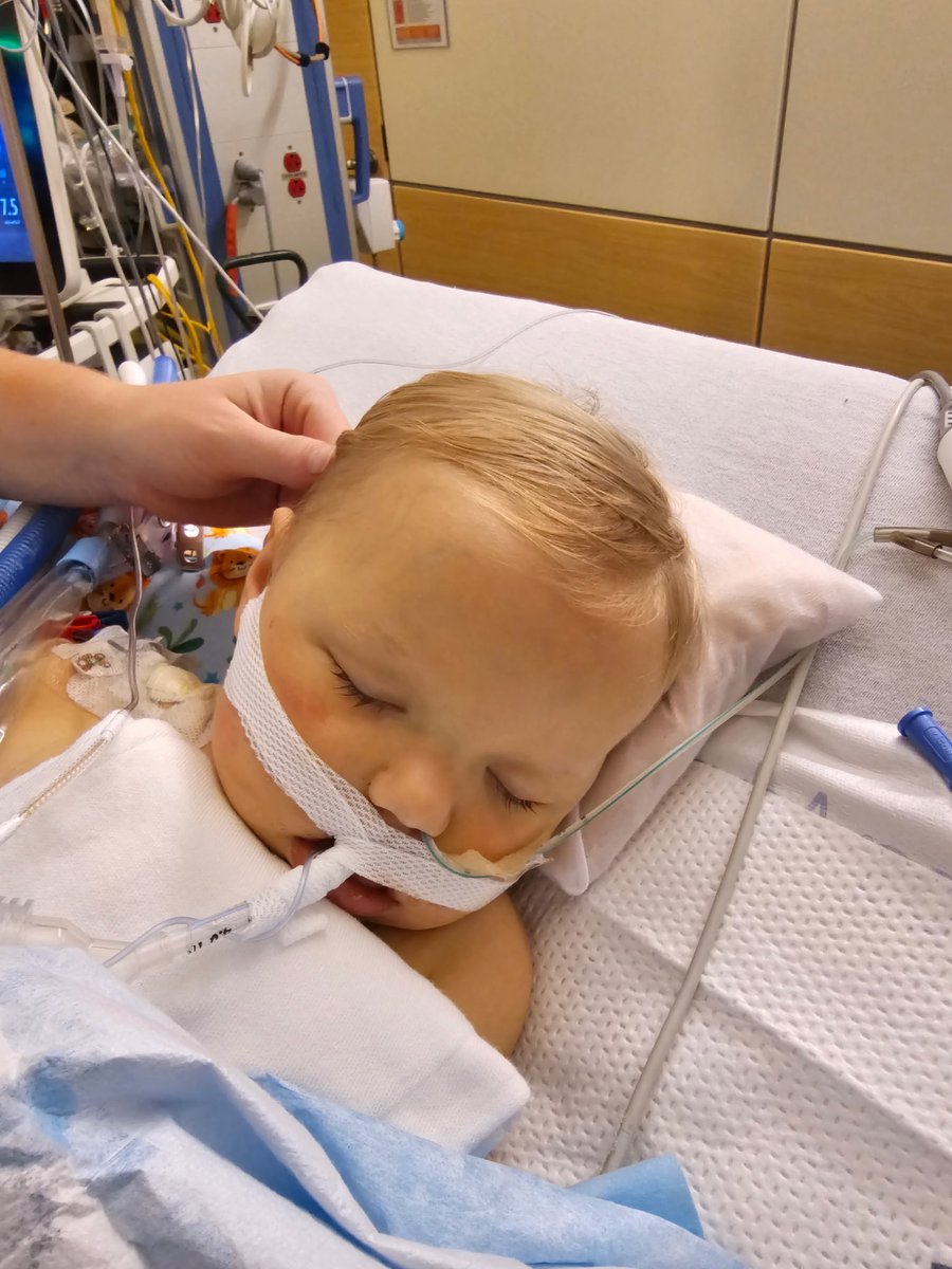 carolefporch's tweet image. It is 2:47am eastern time. Liberty (Libby) is on her way to O.R. for liver transplant. We need prayer warriors now PLEASE 🙏