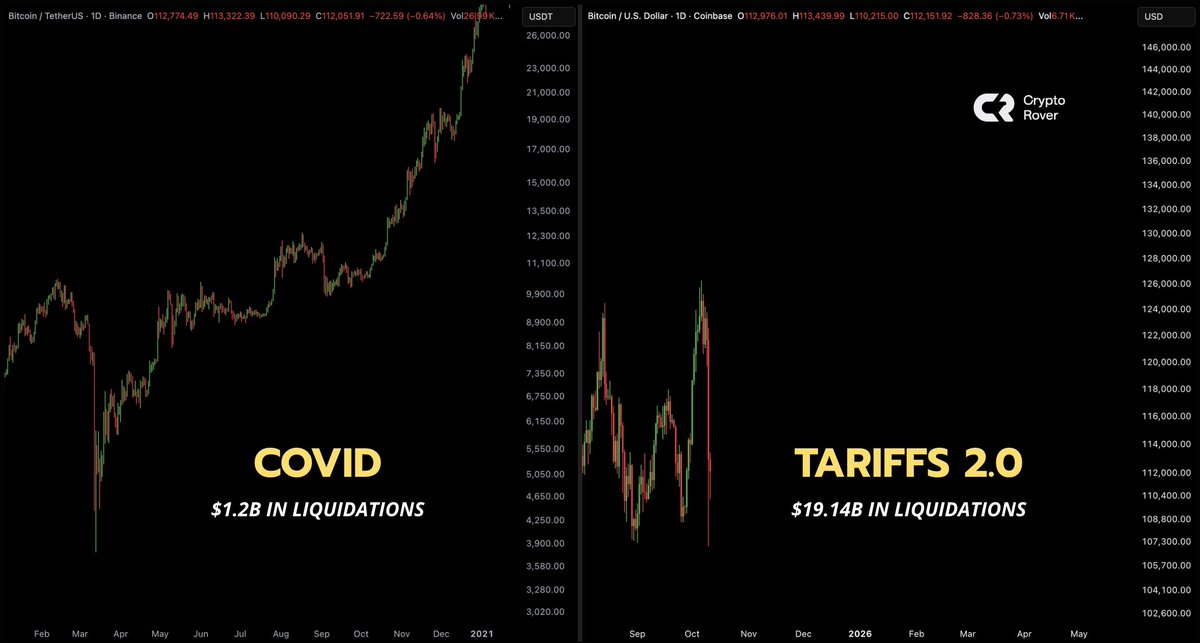 Crypto Rover tweet media
