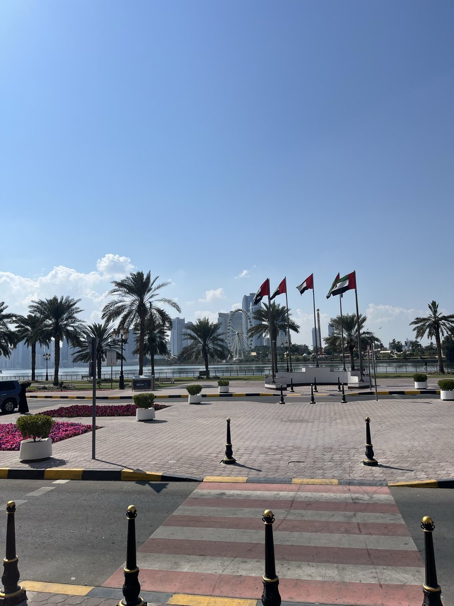 beanwi ⛩️ tweet media