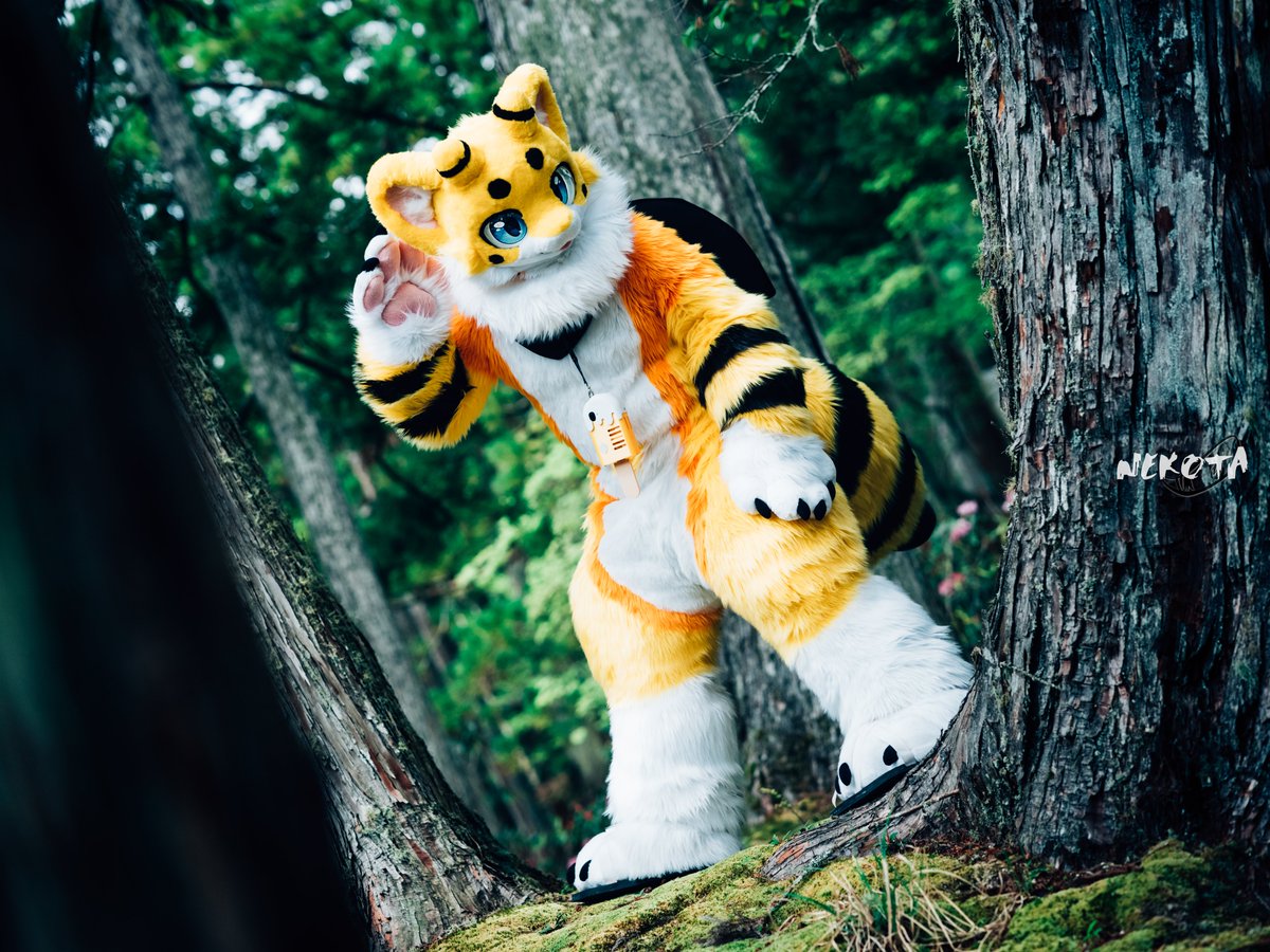 耳をすませば
ブーウン <a href="/voooong_/">🐝 ブーウン 부웅</a> 

Season2 start.
#Fursuit100Days2 1/100
#兽装100天S2 
#寺もふ