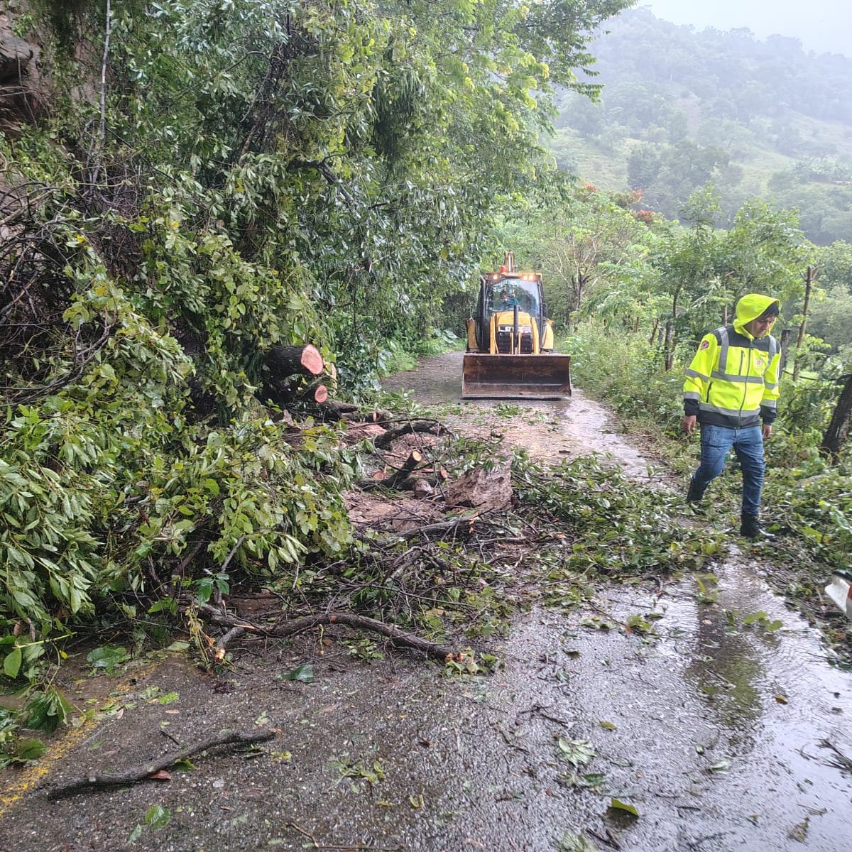 En #TepehuacánDeGuerrero, el personal de Protección Civil continúa trabajando para que los servicios de emergencia y la ayuda humanitaria lleguen a las comunidades afectadas por las lluvias.
🤝🌧️ ¡La solidaridad no se detiene!

#PrimeroElPueblo