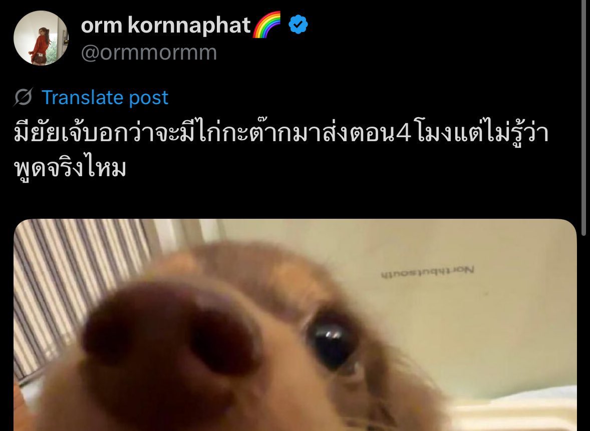 findmetothetoon's tweet image. คนรอไม่เคยทิ้งมาก นางส่งสัญญาณจนไม่รู้จะส่งยังไงแล้ว 555255555555555555555