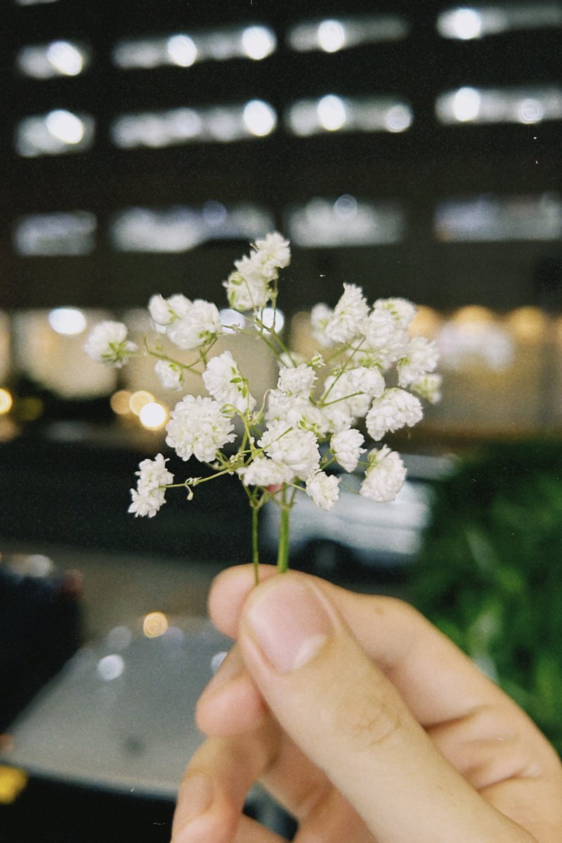 grilledunagi's tweet photo. Watering the small things. Let the roots run deep. https://t.co/eINV9WULXw