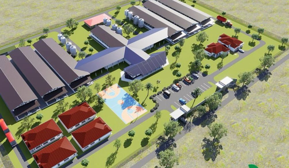 M_Patience20's tweet image. Smart design for modern pig farming
#LivestockDesign