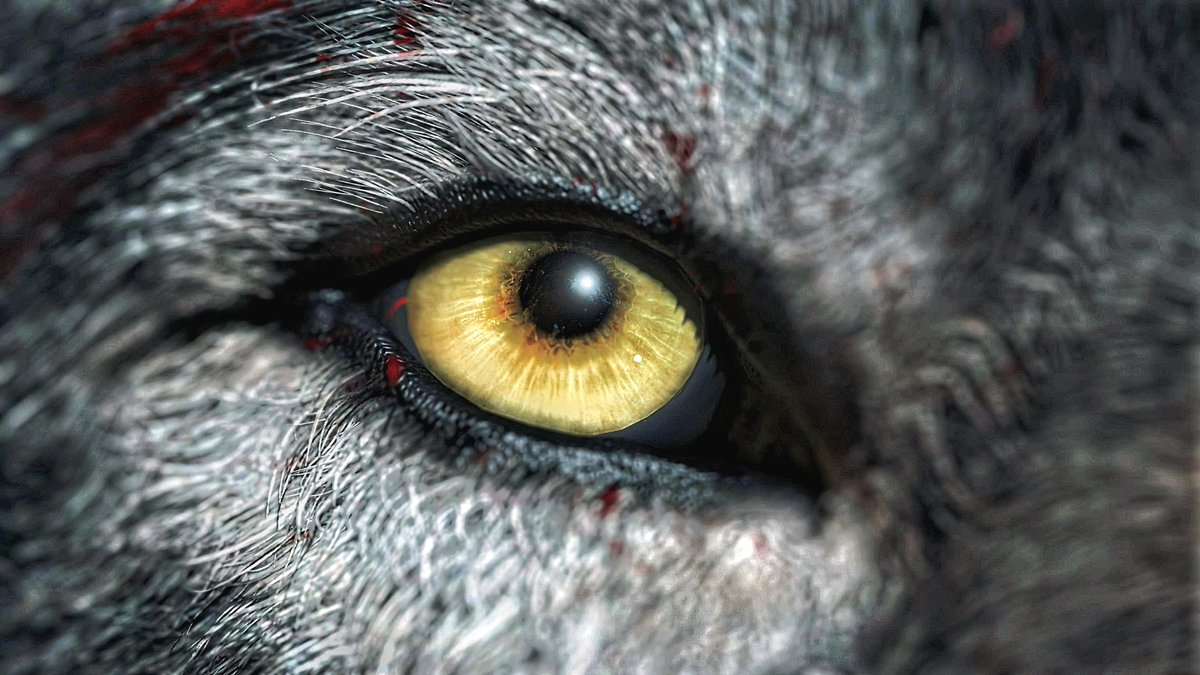 Ghost of Yotei (PS5)
🐺

#GhostOfYotei #VPRT
#VGPUnite #VGPNetwork
<a href="/SuckerPunchProd/">Sucker Punch Productions</a>
<a href="/PlayStation/">PlayStation</a>
#VirtualPhotography #PS5Share #PSBlog #PSshare