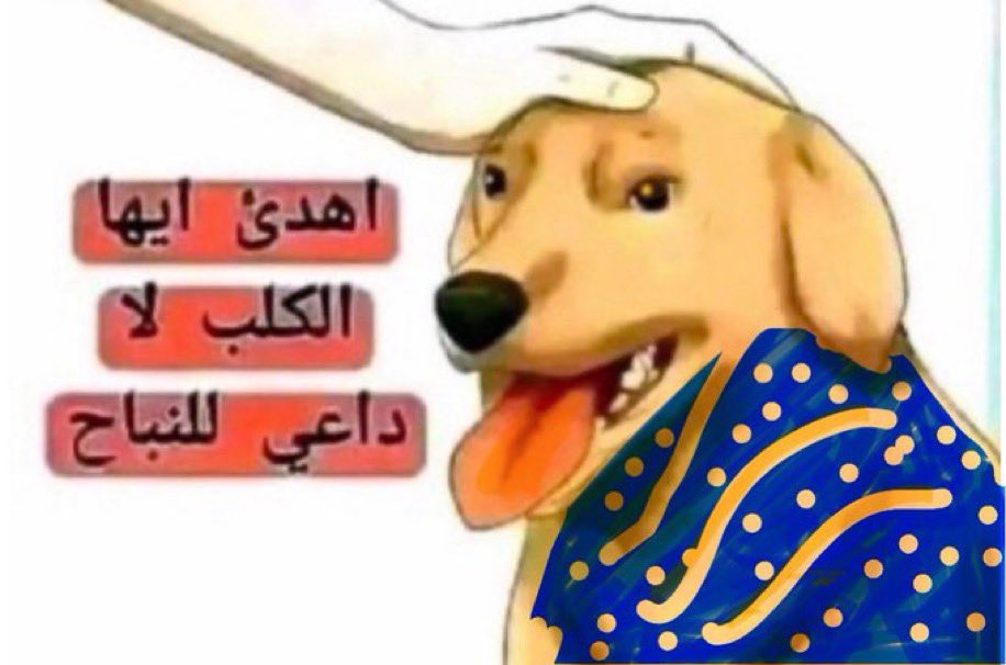 zoman2's tweet photo. @msh3l_alshammri https://t.co/vubC8vTM7Z