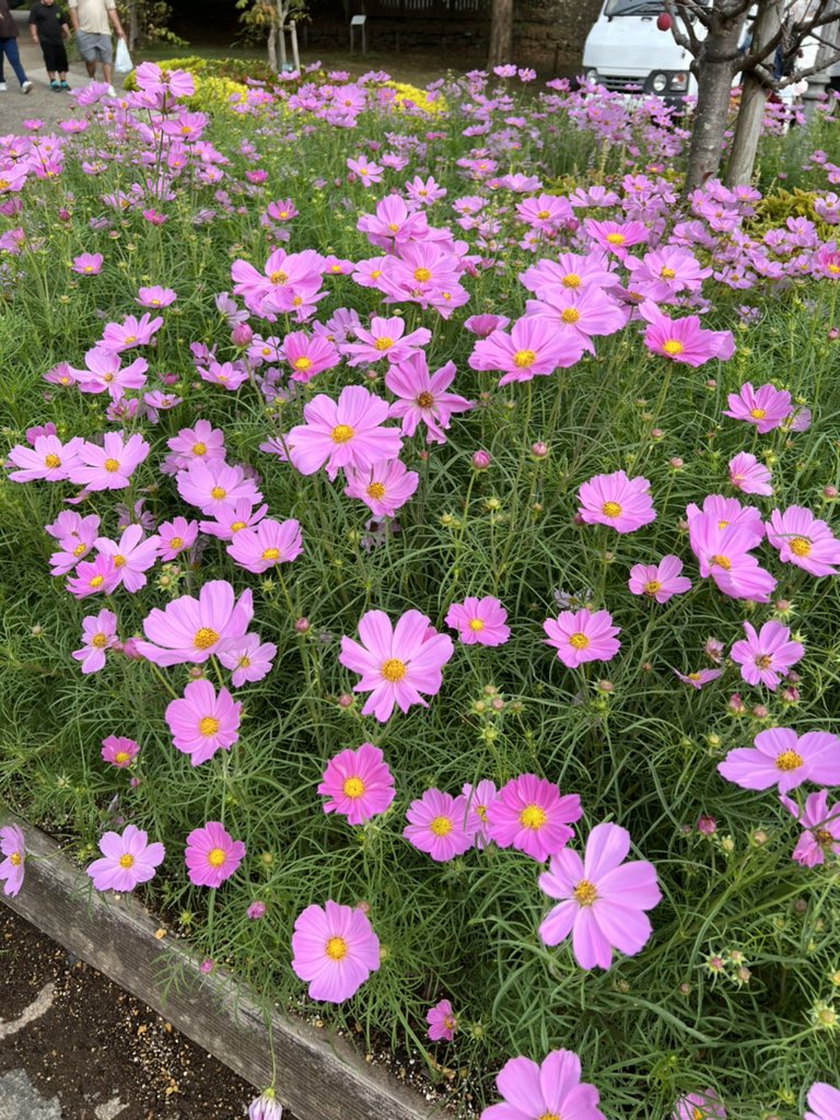 macchan2011's tweet image. 初めて来たけどいい公園

#ふなばしアンデルセン公園