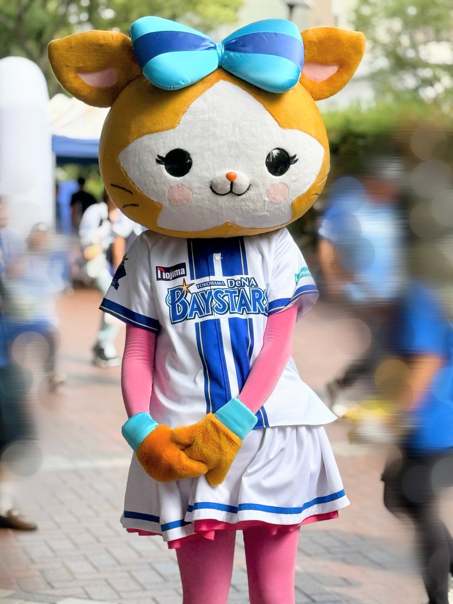xydb_dena31's tweet image. 可愛い子に会えた🎀

#キララ
#baystars
2025/10/12