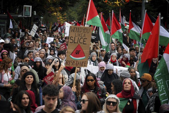 Palestine supporters demonstrate in the city again despite the peace deal just proves these protests are just an excuse for every nut case to have a day out before scurrying back to Centrelink.
