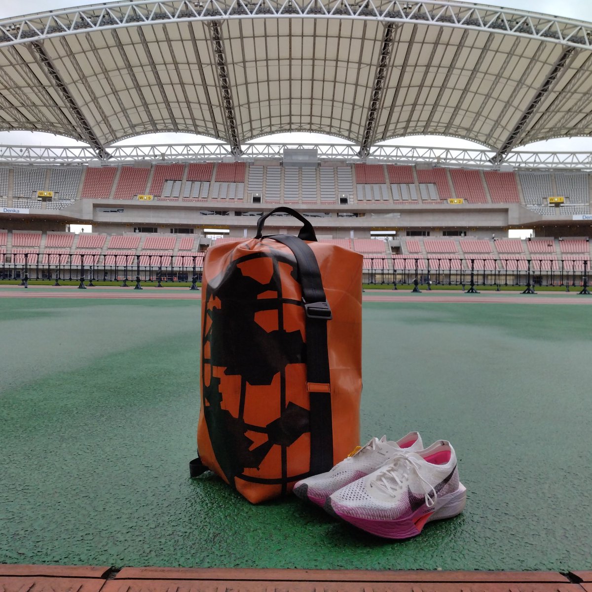 tsuyogoro527's tweet photo. 新潟シティマラソンはDNF…😢
最初の10kmは良い感じで入れましたが、途中から体が動かなくなってしまい25km地点でリタイア…
悔しい。鍛え直します。

#新潟シティマラソン
#ナイキ #ヴェイパーフライ3
#フライターグ #スキッパー
#nike #vaporfly3
#frtg #freitag #freitaglab
#f511 #skipper https://t.co/oPi2goHleT